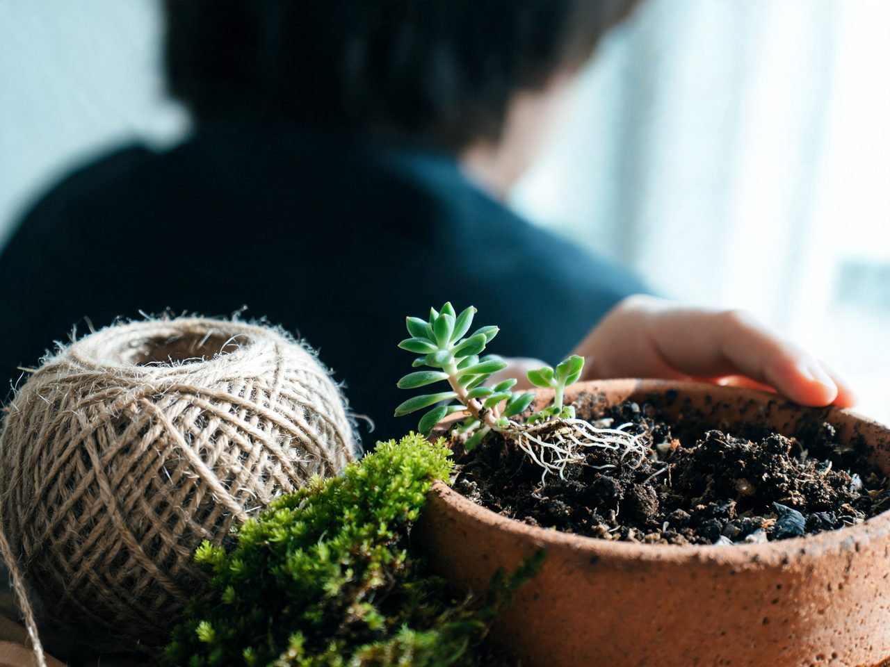 Créer un coin de fraîcheur : L'importance des plantes… — Jardin Sens à Angers